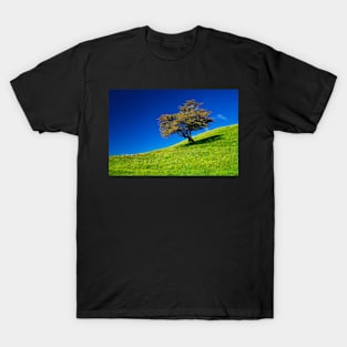 Single tree on a grassfield T-Shirt